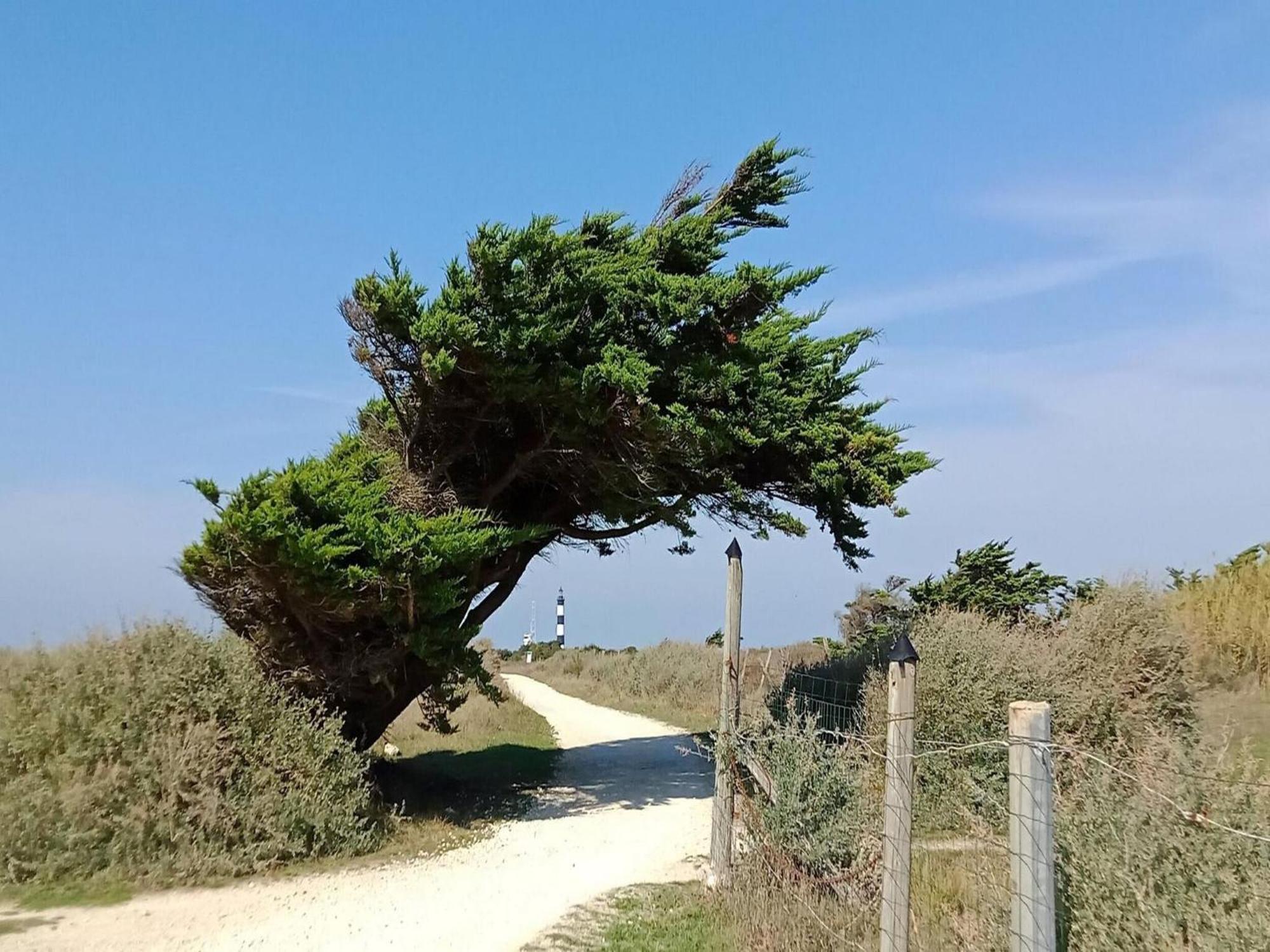 Les Hameaux Des Sables Vignie Saint Georges D Ol Ron Holiday Home Not Detached Екстер'єр фото